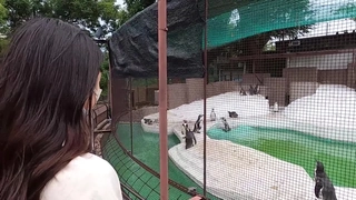 欧美日韩人妻激情-第一次与男友以外的男人在行使中车震!